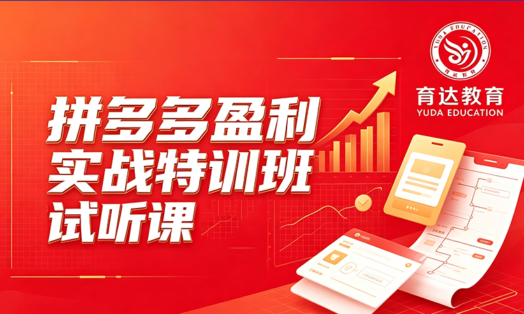 拼多多盈利实战特训班试听课
