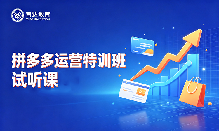 拼多多运营特训班试听课