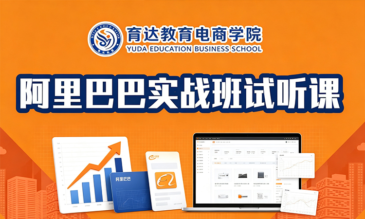 阿里巴巴实战班试听课